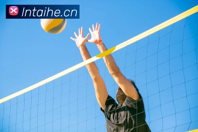 App Interface Preview